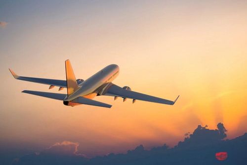 Tạm hoãn xuất cảnh: Những trường hợp người dân cần lưu ý