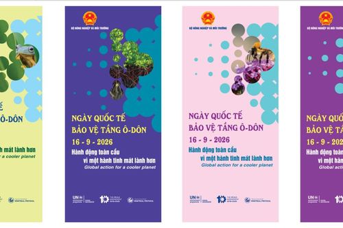 Sắp diễn ta toạ đàm 'Hành động toàn cầu vì một hành tinh mát lành hơn'