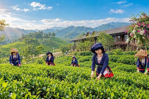 Cú 'hích' kích cầu phát triển du lịch nông thôn