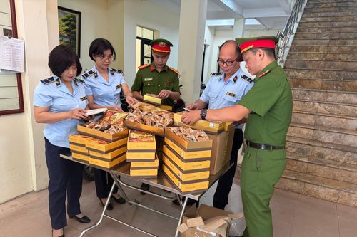 Hà Nội: 200 bánh Trung thu nhập lậu bị phát hiện trước mùa cao điểm