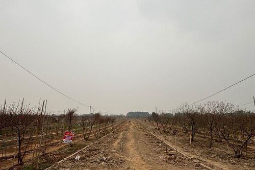 Quy hoạch sông Hồng: Làm thế nào để an toàn đê điều, phòng lũ?