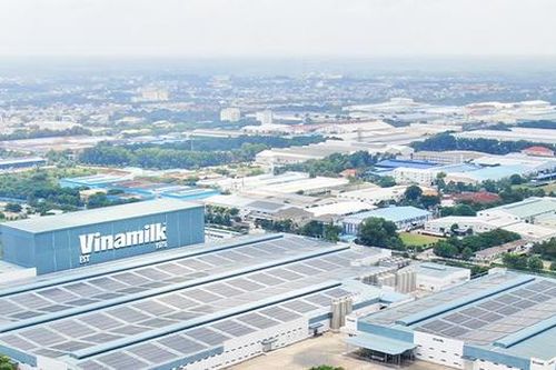 Hành trình nửa thế kỷ của Vinamilk: Từ ba nhà máy cũ đến hệ sinh thái dinh dưỡng xuất khẩu 65 quốc gia