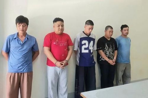Triệt phá đường dây làm giả sổ hồng, bằng cấp, giấy phép lái xe quy mô lớn, hoạt động liên tỉnh