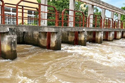 Giữ mùa vàng từ những dòng kênh