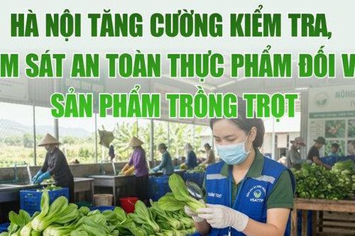 Hà Nội tăng cường kiểm tra, giám sát an toàn thực phẩm đối với sản phẩm trồng trọt