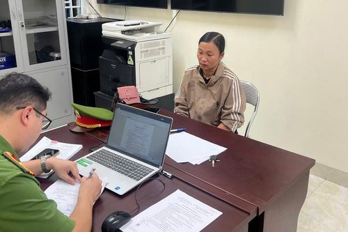Dùng đồi cây của người khác làm 'mồi nhử', người phụ nữ ở Lào Cai chiếm đoạt 208 triệu đồng
