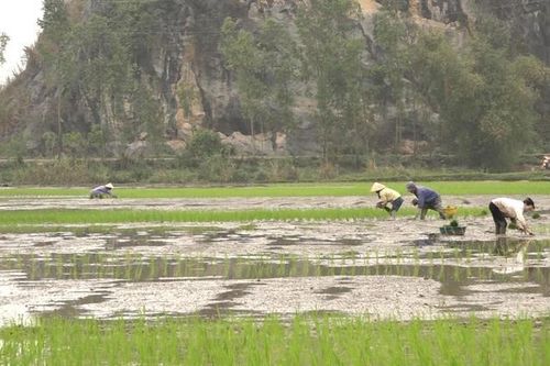 Nông nghiệp Hà Nội tìm dư địa tăng trưởng từ nâng cao giá trị sản xuất
