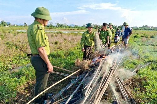 Gỡ 'thiên la địa võng', ngăn chặn nạn săn bắt chim trời