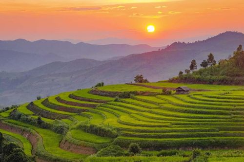 Vẻ đẹp ruộng bậc thang Pu Nhi, Điện Biên