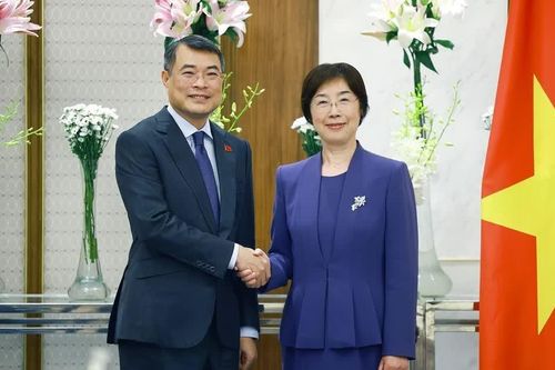 Thúc đẩy quan hệ hợp tác Việt Nam-AIIB ngày càng đi vào chiều sâu