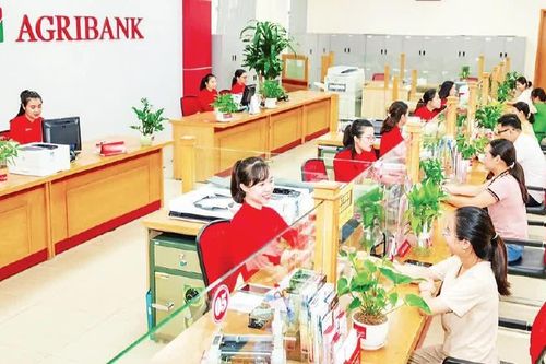 Khơi dòng vốn xanh, chia sẻ với nguồn lực ngân hàng
