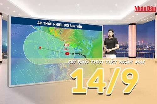 [Video] Dự báo thời tiết đêm nay và ngày mai 14/9/2026: Áp thấp nhiệt đới suy yếu, Trung Bộ tiếp tục mưa lớn
