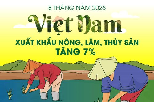 Việt Nam: Xuất khẩu nông, lâm, thủy sản tăng 7% trong 8 tháng năm 2026