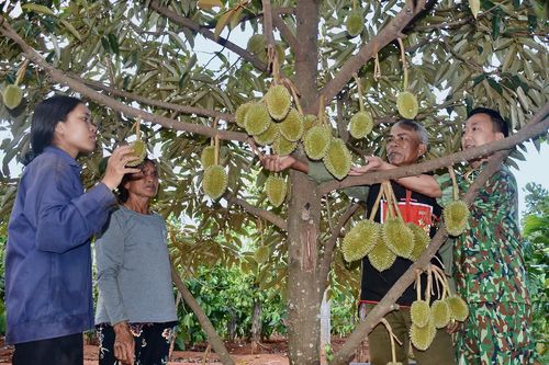 Ngành nông nghiệp làm gì để đóng góp vào tăng trưởng 2 con số?