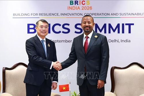 Thủ tướng Lê Minh Hưng gặp Thủ tướng Ethiopia Abiy Ahmed Ali