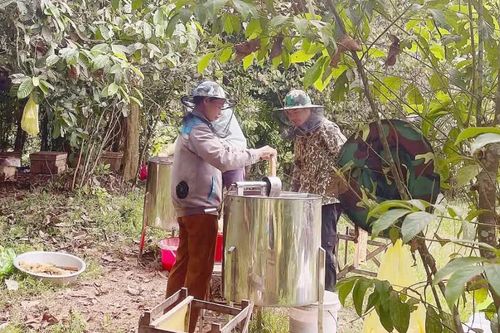 Làm giàu ở 'Vườn rừng Bản Thổ'
