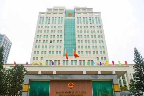 Cơ cấu tổ chức mới của Bộ Nông nghiệp và Môi trường