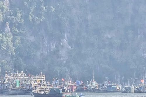 Hơn 53.000 phương tiện được cảnh báo, chủ động tránh áp thấp nhiệt đới