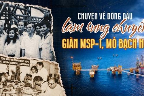 [VIDEO] Chuyện về dòng dầu làm rung chuyển giàn MSP-1, mỏ Bạch Hổ