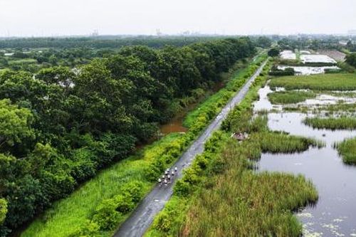 [VIDEO] Hé lộ cung đường chạy Giải Cà Mau Marathon 2026 - Cúp PETROVIETNAM