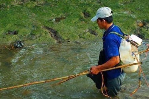 Một người đàn ông tử vong khi thả lưới bắt cá
