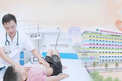 Cứu sống bé trai 8 tuổi sốc phản vệ nguy kịch sau khi bị ong vò vẽ đốt
