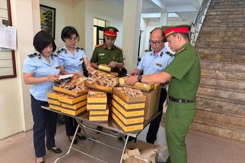 Phát hiện, xử lý hàng trăm bánh trung thu không rõ nguồn gốc, xuất xứ