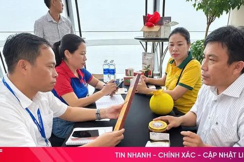 Hội chợ 'mở lối', đơn hàng về với cơ sở công nghiệp nông thôn