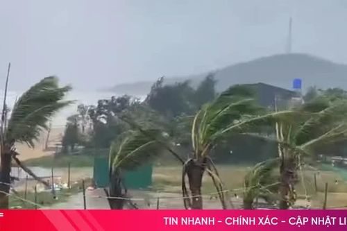 Áp thấp tiến sát bờ biển Quảng Trị, Hà Tĩnh dự báo mưa to
