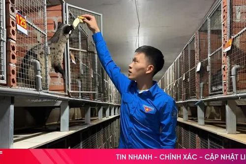 Người trẻ Hà Tĩnh bỏ phố về quê: Tìm cơ hội mới trên quê hương