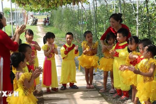 Năm học mới: Vận hành hiệu quả, đánh giá thực chất