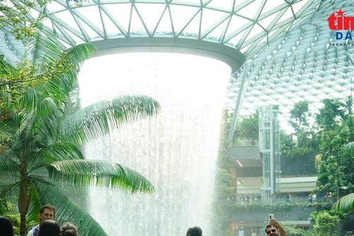 Chiêm ngưỡng thác nước nhân tạo lớn nhất thế giới giữa sân bay Singapore