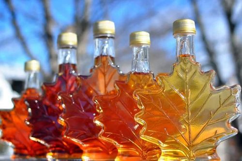 Siro phong - bản sắc Canada thu hút người tiêu dùng thế giới