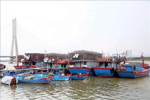 Khẩn trương đưa tàu thuyền vào nơi tránh trú áp thấp nhiệt đới
