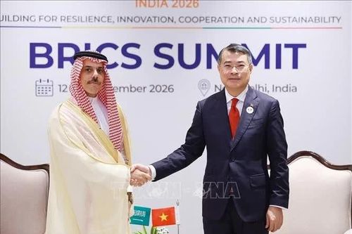 Thủ tướng Lê Minh Hưng gặp Bộ trưởng Ngoại giao Saudi Arabia