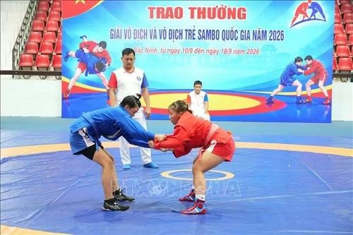 Giải vô địch và vô địch trẻ Sambo quốc gia năm 2026