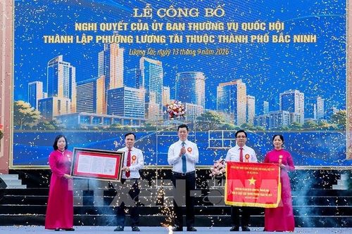 Khai thác tối đa không gian phát triển từ Cảng hàng không quốc tế Gia Bình