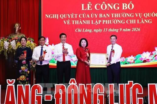 Xây dựng Chi Lăng thành một đô thị xanh, thông minh, phát triển bền vững