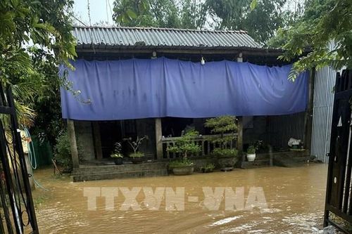 Theo dõi chặt chẽ diễn biến mưa lũ để tập trung ứng phó