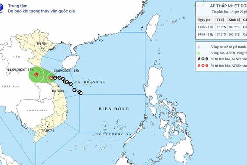 Áp thấp nhiệt đới gây gió mạnh, những địa phương nào hứng mưa lớn dồn dập?