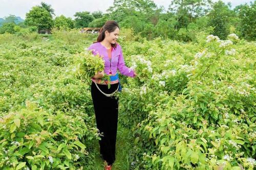 Cần mạng lưới đồng hành dài hơi cho 'hạt giống' khởi nghiệp sinh trưởng