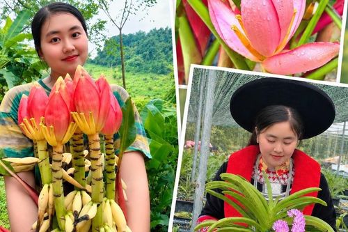 Chi hội trưởng phụ nữ người Dao khởi nghiệp từ những mùa hoa trên đất đồi