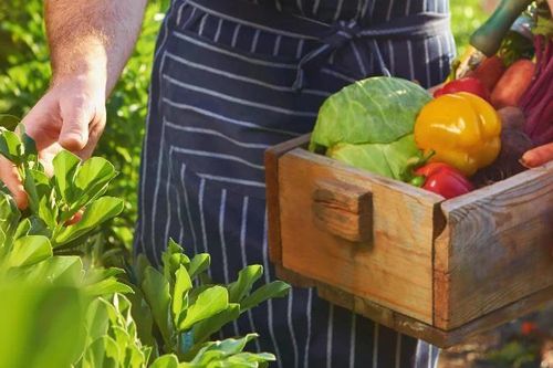 Farm-to-table: Bước ra khỏi căn bếp và tiến vào ngành du lịch