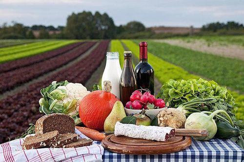 Farm-to-table và bài toán mở rộng quy mô