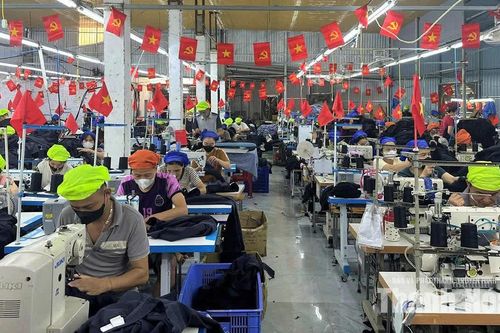 Nguyệt Ấn nỗ lực phát triển doanh nghiệp