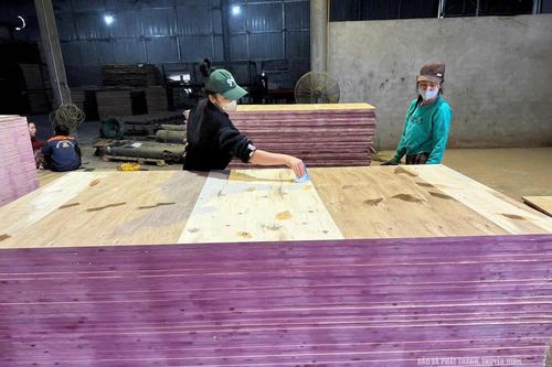 Phát triển kinh tế - xã hội, giảm nghèo bền vững ở vùng đồng bào DTTS