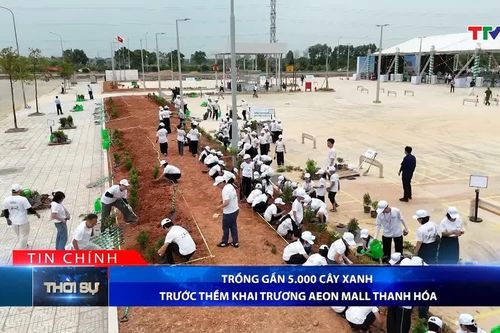 Bản tin Thời sự tối 13/9/2026: Trồng gần 5.000 cây xanh trước thềm khai trương AEON MALL Thanh Hóa