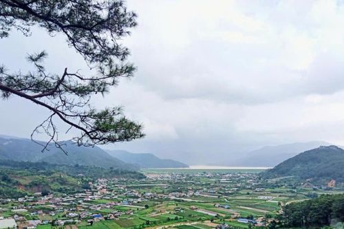 Cảm thức từ Dran