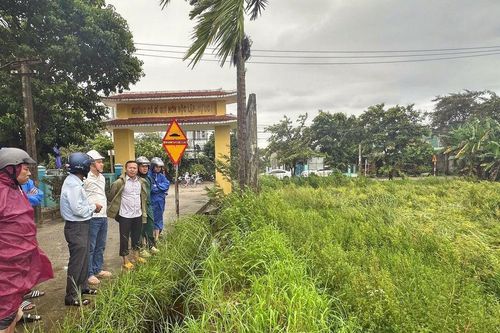 Xã Hà Nha ra quân thu hoạch gấp 100ha lúa để giảm thiệt hại do mưa lớn