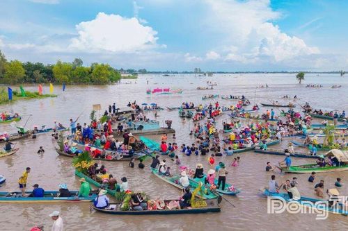 Trải nghiệm mùa nước nổi 'Hồng Ngự - Sắc nước vùng biên'